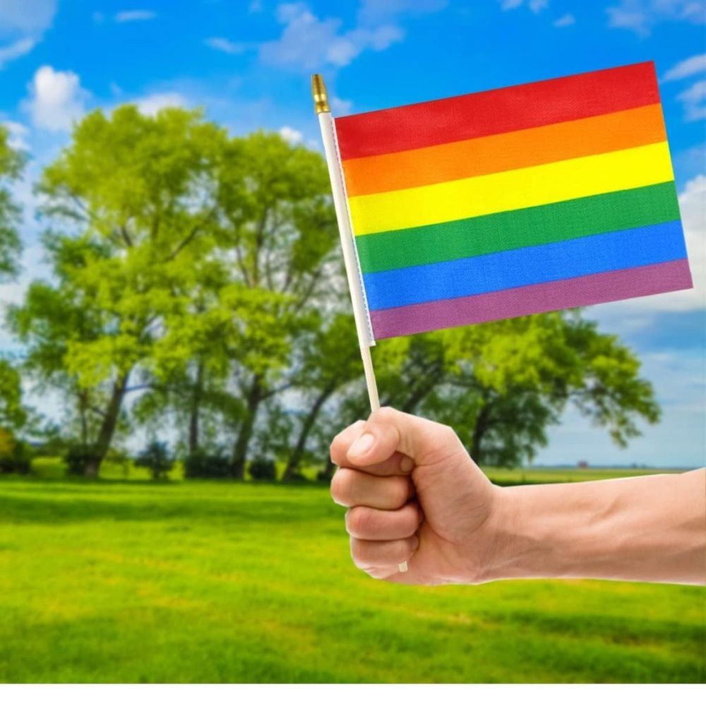 Rainbow Pride Handheld Flag with extra stick NWOT/NWOP